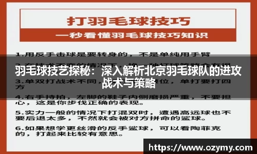 羽毛球技艺探秘：深入解析北京羽毛球队的进攻战术与策略