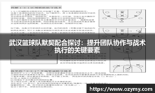 武汉篮球队默契配合探讨：提升团队协作与战术执行的关键要素